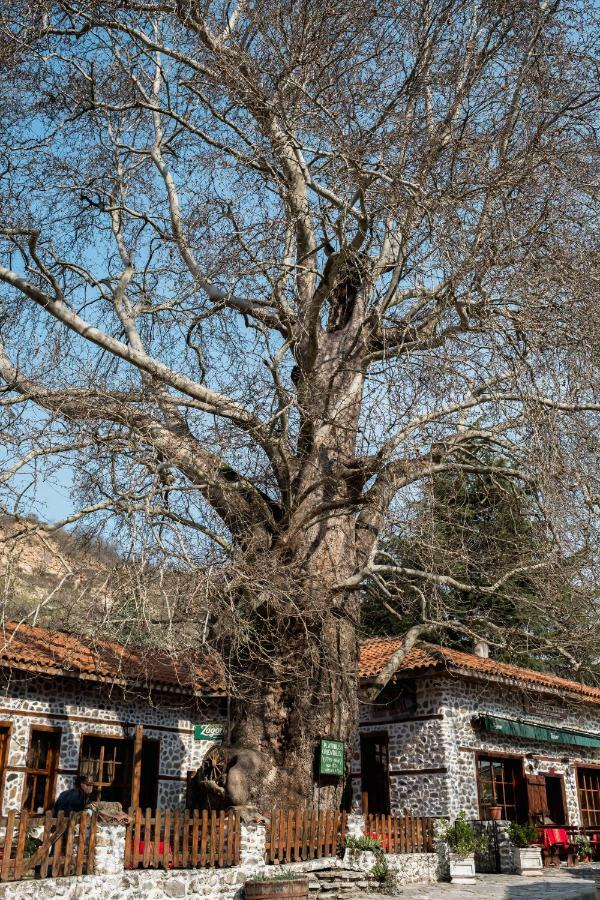 Комплекс Стария Чинар Мелник Екстер'єр фото